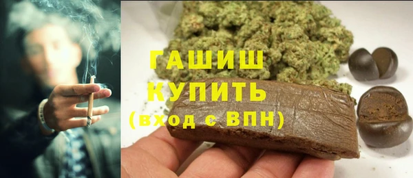 дмт Протвино