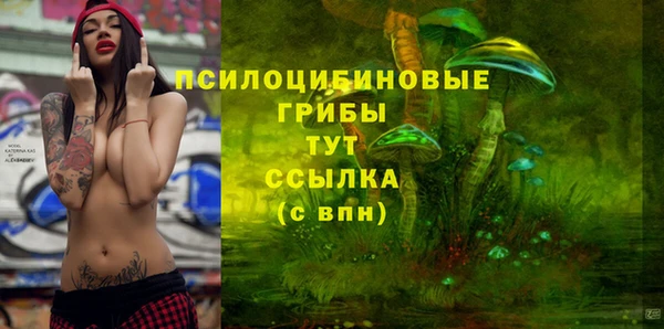 дурь Приозерск
