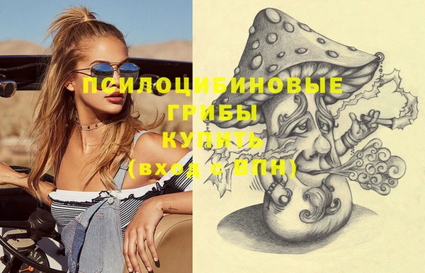 не бодяженный Абаза