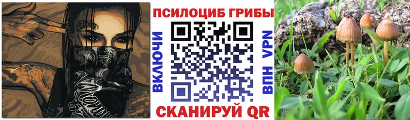 Псилоцибиновые грибы прущие грибы Зерноград
