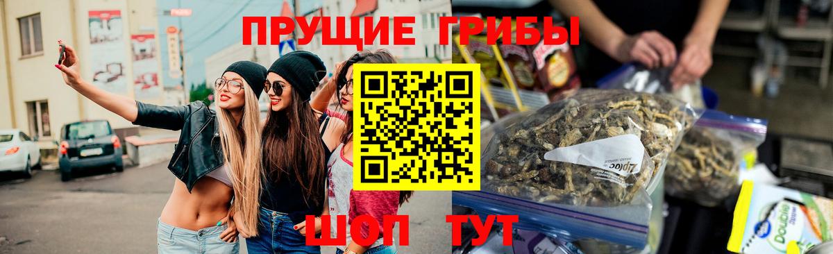Зерноград  Галлюциногенные грибы Psilocybe  Галлюциногенные грибы Psilocybe  Вход с VPN 