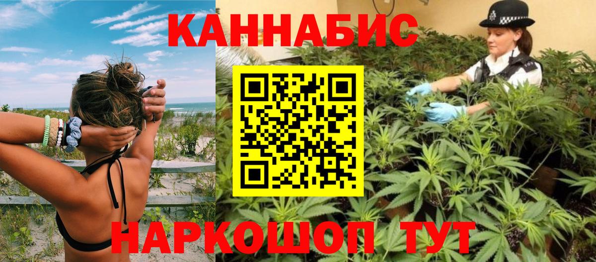 Бошки марихуана ГИДРОПОН  Каннабис планчик  Зерноград  Вход с VPN  Бошки марихуана гибрид  Бошки Шишки планчик 